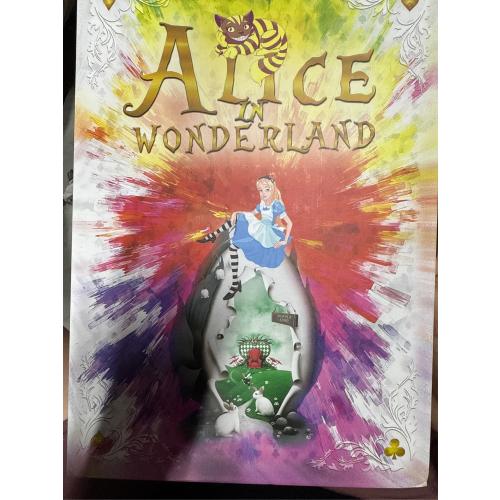 Fake Book Box - Small Safe Box with Combination Lock - Hidden Safe in Plain Sight - Diversion Safes - Secret Safes (Alice) (X-Large)