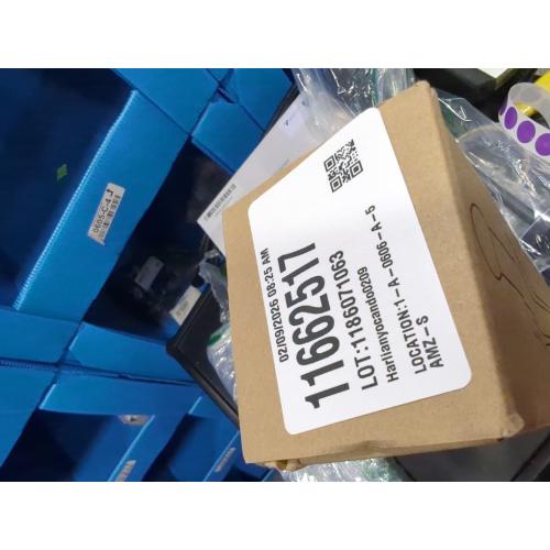 FIRJOY 12 Valet Rod for Closet Pull Out (2 Pack, Brushed Gold)