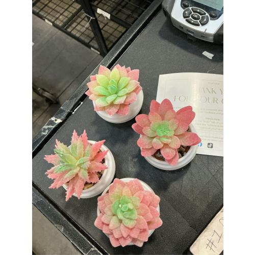 VIVERIE 4Pcs Pink Green Artificial Succulents in Pots (Plastic)- Small Artificial Plants