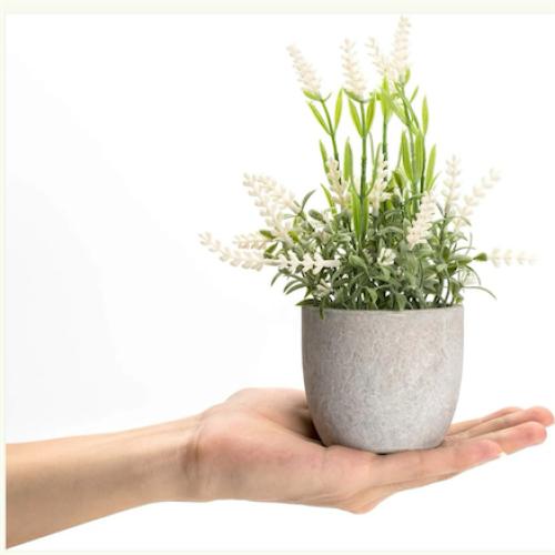 Velener Artificial Lavender Flowers(White/Purple), Small Fake Lavender Plants Pot Set of 3 - Faux Lavender Flowers for Farmhouse/Home‼️1 pot is chipped‼️