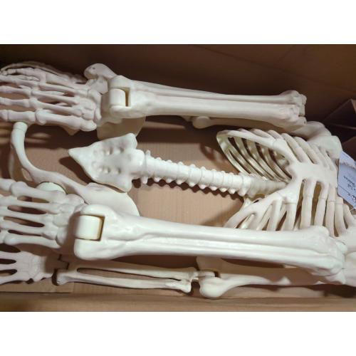Crazy Bonez Pose-N-Stay Halloween Skeleton, 6 FT – Life-Size, Realistic, Fully Poseable Indoor & Outdoor Decoration, Durable Weather-Resistant Spooky Prop for Yard, Porch, Haunted House