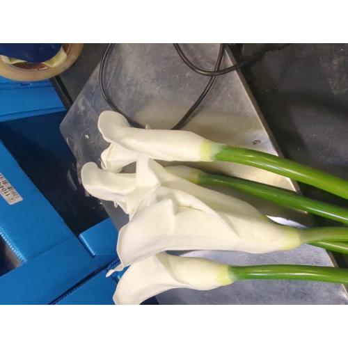 cn-Knight 10pcs Calla Lilies Artificial Flower,26'' Long Stem Artificial Calla Lily Flowers,Realistic Arum Lilies for Wedding Bridal Bouquet Home Decor Centerpiece,White