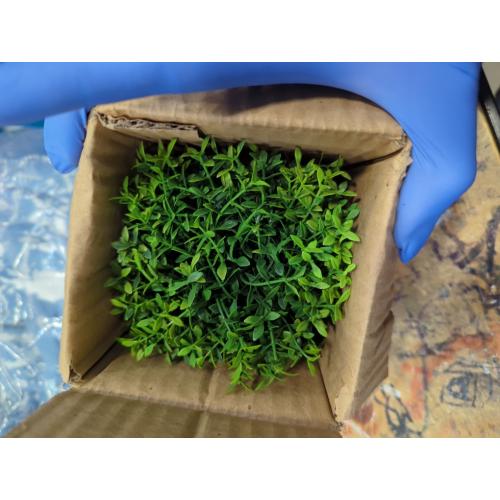 Velener Mini Sage Green Potted Boxwood Topiary Artificial Plants for Home Decor Indoor, Farmhouse House Plant Office Small Desk Shelf Apartment Coffee Bar Bathroom Decor Guest Room, Small Fake Plant