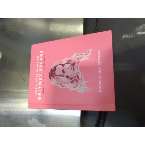 The Little Guide to Britney Spears: Stronger than Yesterday (Little Book)