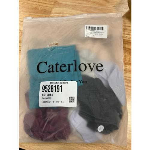 LARGE Caterlove Women's Seamless Underwear No Show Stretch Bikini Panties Silky Invisible Hipster 6 Pack