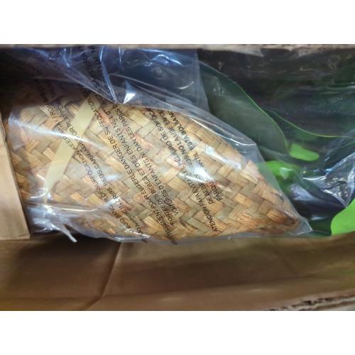 Adcock Artificial Fiddle Leaf Fig Plant in Basket, Faux Green Plant, Fake Tree for Home Décor 49