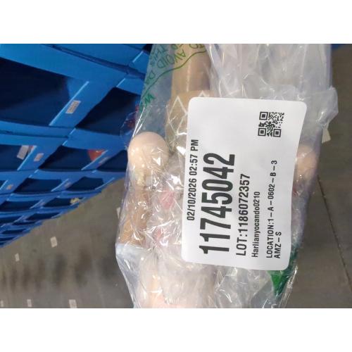 Ornativity Christmas Candyland Gingerbread Nutcracker – Wooden Nutcracker Candy Man with Candy Cane and Gingerbread Cookies in Hand Xmas Themed Holiday Nut Cracker Doll Figure Decorations