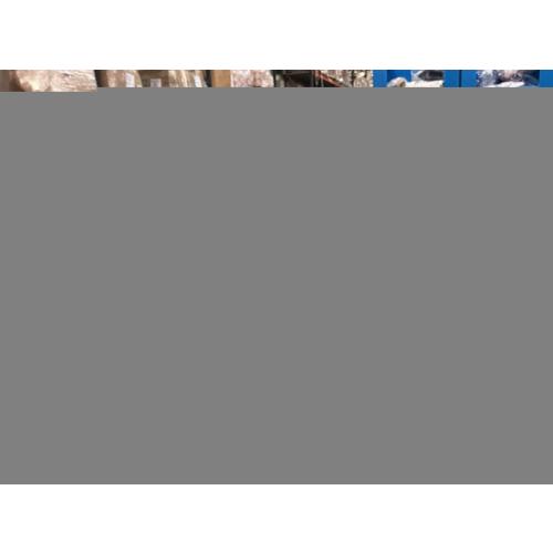 Window Bird Feeder by Nature's Hangout - Award-Winning Transparent Acrylic Bird Feeders for Outdoors, No Assembly, Strongest Suction Cups, Birds Watching for Cats, Easy-to-Clean Birdhouse Feeder