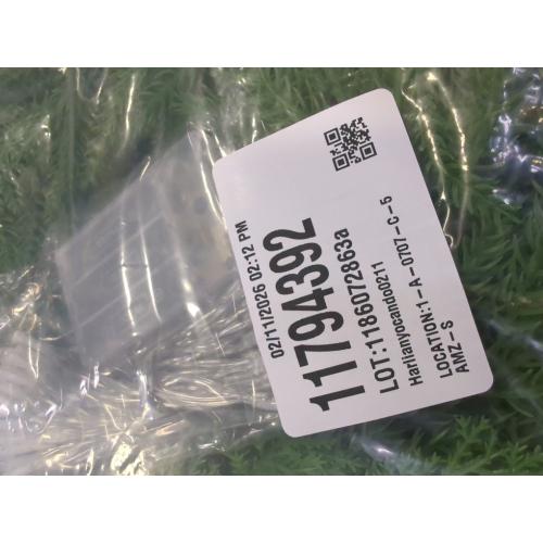 6 Ft Christmas Norfolk Pine Garland, Dense Norfolk Pine Realistic Touch Garland, Artificial Pine Greenery Garlands for Christmas Holiday Mantle Fireplace Table Home Decor