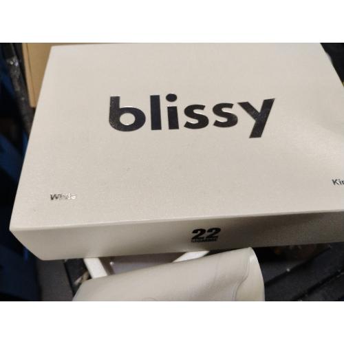 Blissy Silk Pillowcase - 100% Pure Mulberry Silk - 22 Momme 6A High-Grade Fibers - Silk Pillow Cover for Hair & Skin - Regular, Queen & King (Blissy White, Standard)