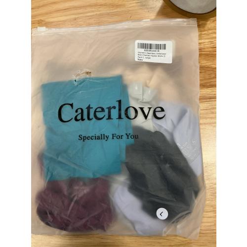 LARGE Caterlove Women's Seamless Underwear No Show Stretch Bikini Panties Silky Invisible Hipster 6 Pack