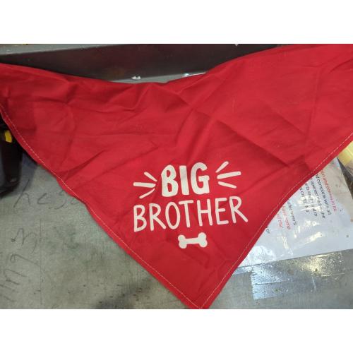 Spoilt Rotten Pets Big Brother Paw Slogan Red S4 Dog ...