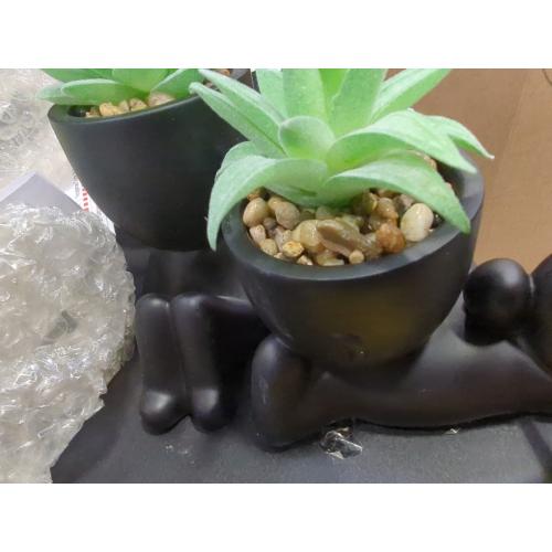 Der Rose Set of 2 Color Black  Fake Plants Artificial Succulent Plants for Office Desk Accessories Black Bathroom Home Room Aesthetic Decor Indoor