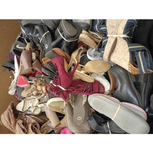 12205070 Gaylord of Paired Shoes