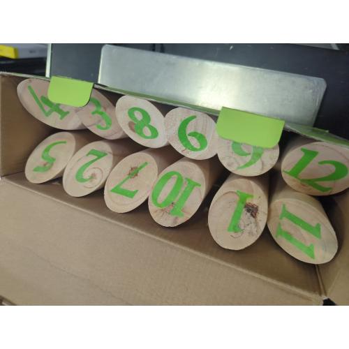 Fun Day Scatter Pins Outdoor Pin Game Glow In The Dark