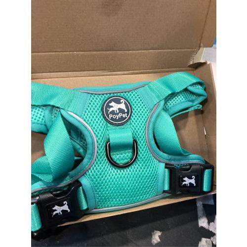 PoyPet Reflective Soft Breathable Mesh Dog Harness Choke-Free Double Padded Vest with Adjustable Neck and Chest(Mint Green,L)
