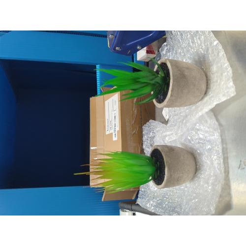 2 Pack Artificial Aloe Plants Small