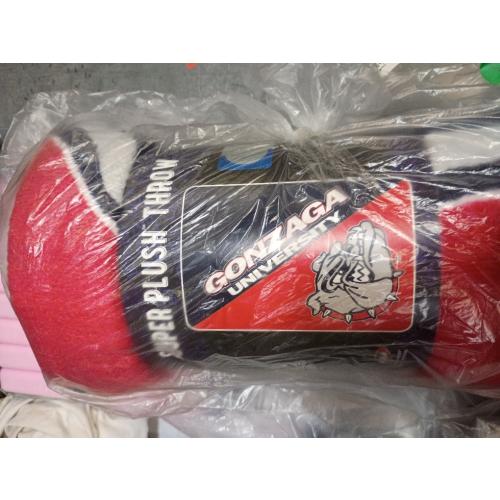 LOGOVISION Official Collegiate Primary Logo Collection Silky Touch Super Soft Throw Blanket Collection
