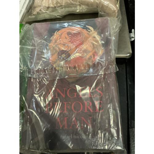 Angels Angels Before Man, Book 1, (Hardcover)