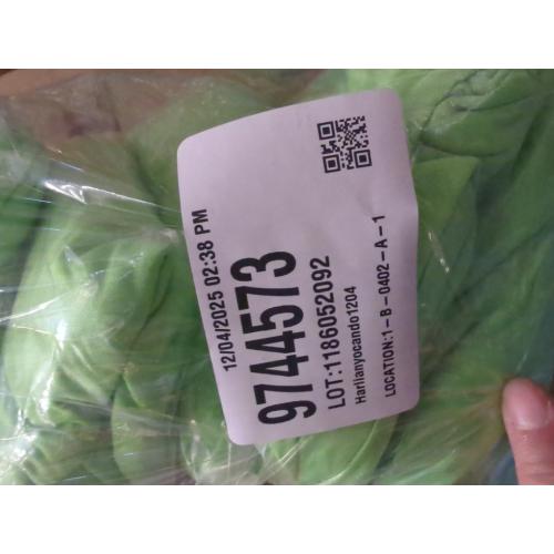 Green Newwiee 6 Pcs Black Mardi Gras Spandex Stretch Chair Cover Bulk Waterproofs Dining Seat Protectors Fitted Universal Chair Protector Removable Washable Slipcovers for Wedding Party Celebration