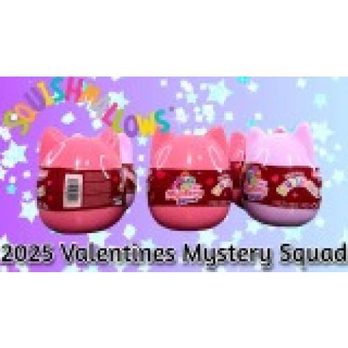 SQUISHMALLOW Valentines edition MYSTERY SQUAD Original 8in official jazwares Plush