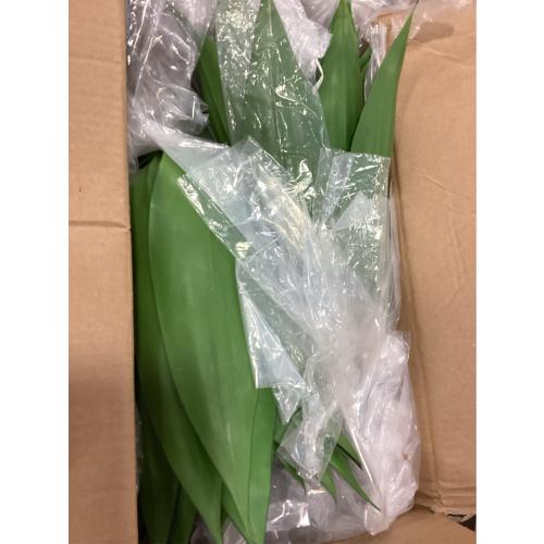 Velener 28 Inch Artificial Agave Plants Outdoor Set, Large Fake Plants Indoor for Home Decor, Realistic UV Resistant Faux Succulents Plants Without Pot, Set of 2