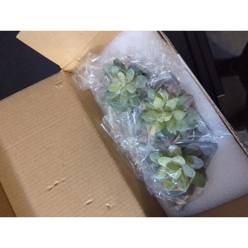 VIVERIE Small Fake Succulents in Pots, Mini Succulents Plants Artificial-3Pc, Green Artificial Faux Succulents for Home Decor Indoor/Room/Office Desk-Triangular Pot