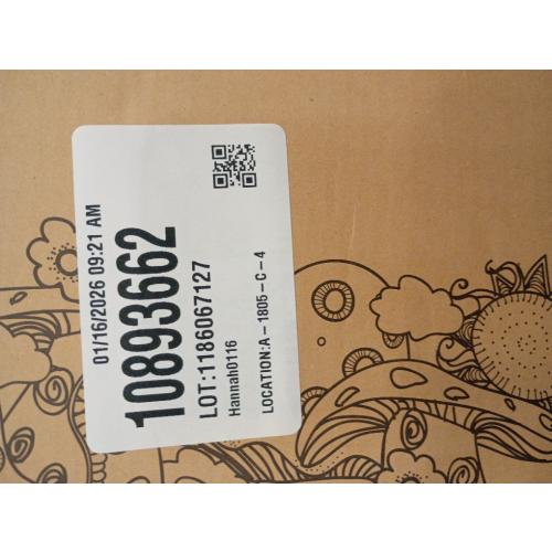 WILD PIXY Fairy Garden House - Glow in The Dark Fairy Cottage with Opening Door and Solar LED Light, Beautiful Miniature Garden Decoration for Indoor or Outdoor Fairy Gardens - 7.1 Fairy House