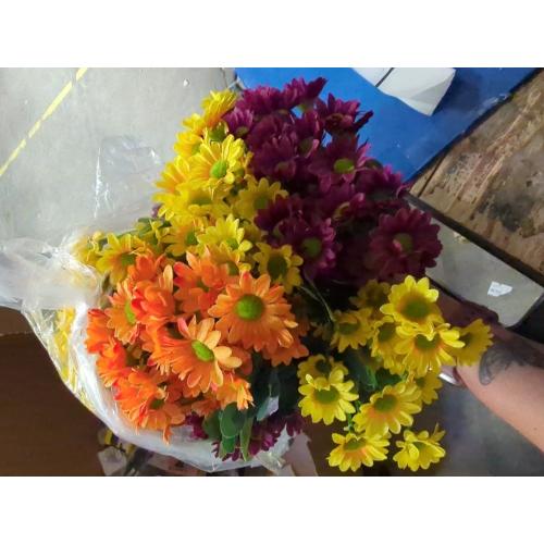 Artificial Outdoor Sunset Mums Flowers - UV Resistant, Waterproof, Windproof, Fake Fall Flower Daisy with Eucalyptus, Look Real, Full, Vibrant (10 Bundles Mix)