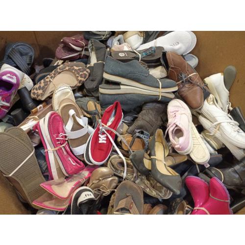 12204602 Gaylord of Paired Shoes