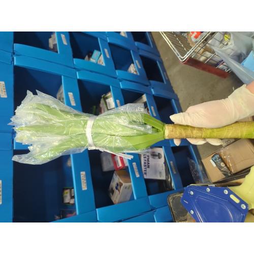 Velener Artificial Agave Plant,18 Inch, Faux Aesthetic Plants for Home Decor, Realistic UV Resistant Fake Agave Plants Without Pot, Set of 1