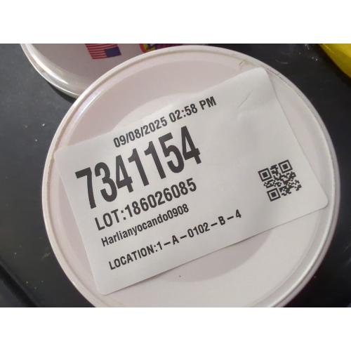 1 Pack Quick 'n Brite All Purpose Cleaning Paste – Miracle Cleaner for Tough Stains, Biodegradable, Non-Toxic, Pet-Safe, Multi-Surface Stain Remover, Made in USA, 12 Oz