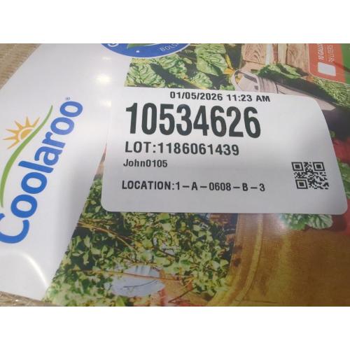 Coolaroo 2-Pack 5 Gallon Heavy Duty Plant/Vegetable/Herb/Fruit Breathable Fabric Grow Planter Pot Bags with Handles, Desert Sand