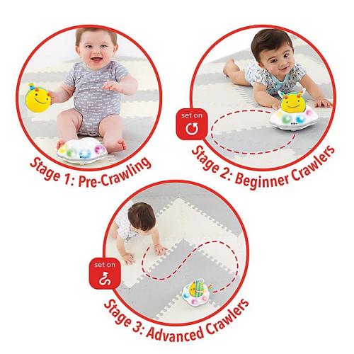 SKIP*HOP® Explore and More Follow-Bee Crawl Toy