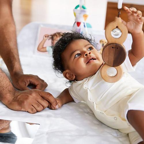 Lovevery Play Gym and Multi-Stage Activity Center
