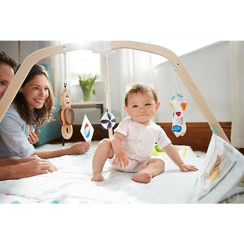 Lovevery Play Gym and Multi-Stage Activity Center