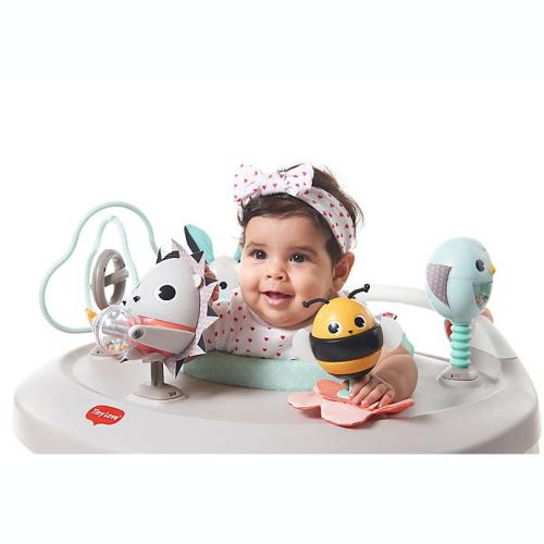 Tiny Love® Meadow Days™ 4-in-1 Here I Grow Activity Center in Grey