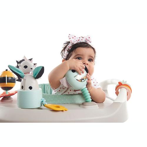 Tiny Love® Meadow Days™ 4-in-1 Here I Grow Activity Center in Grey