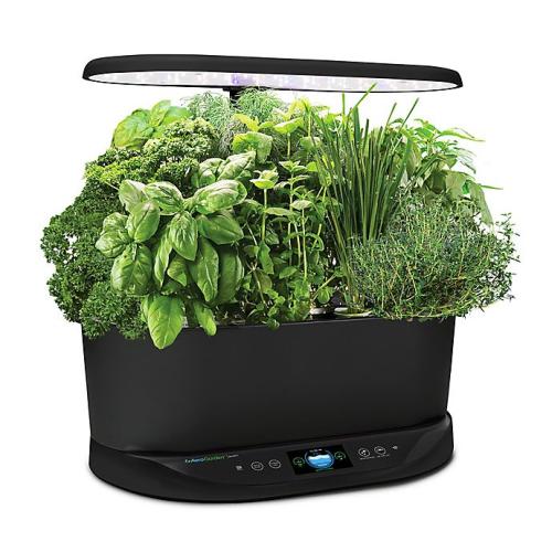 AeroGarden™ Bounty Basic in Black