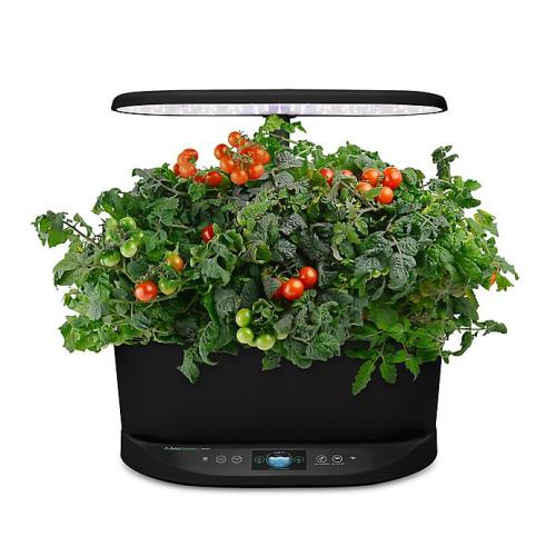 AeroGarden™ Bounty Basic in Black