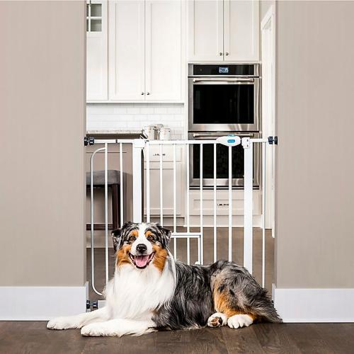 Carlson Extra-Wide Walk-Through Gate in White