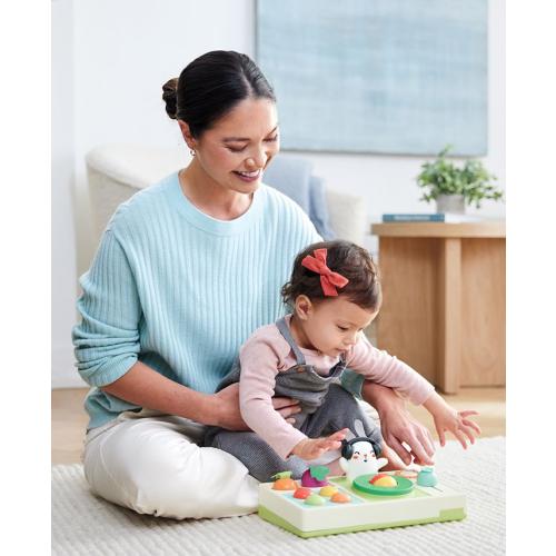 Skip Hop Farmstand Let the Beet Drop DJ Set Toy - Multi