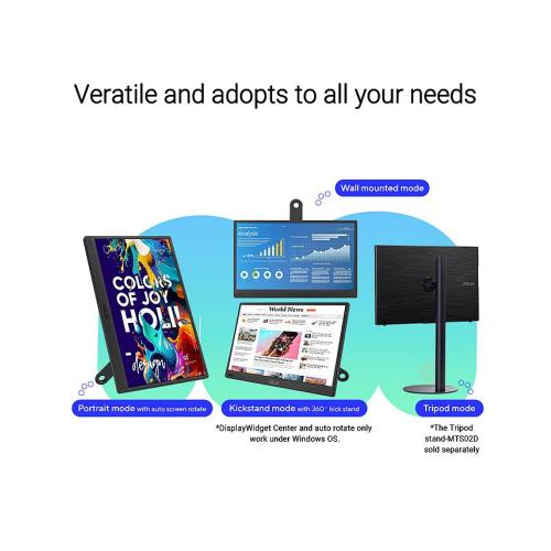 ASUS ZenScreen MB169CK 15.6 16:9 Full HD Portable USB-C IPS LED Monitor