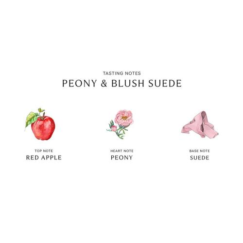 Jo Malone London Peony & Blush Suede Body & Hand Wash, 8.5-oz.