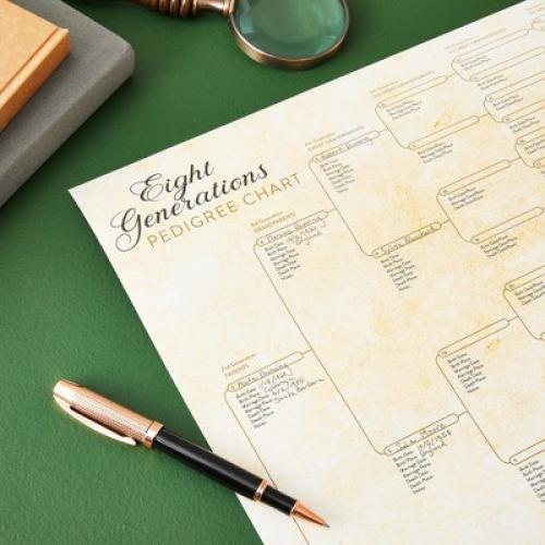 Okuna Outpost 15 Pack Family Tree Charts to Fill In, Blank Eight Generation Genealogy Poster, 17 x 22 In