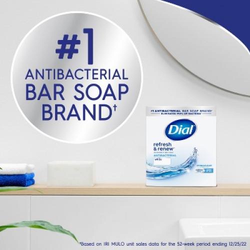 2 Pack Dial Clean and Refresh White Bar Soap - 12pk - 4oz each