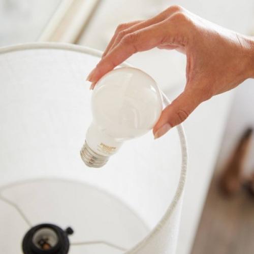 Philips LED 75W Frosted Daylight A19 8-Pack (Non-T20)