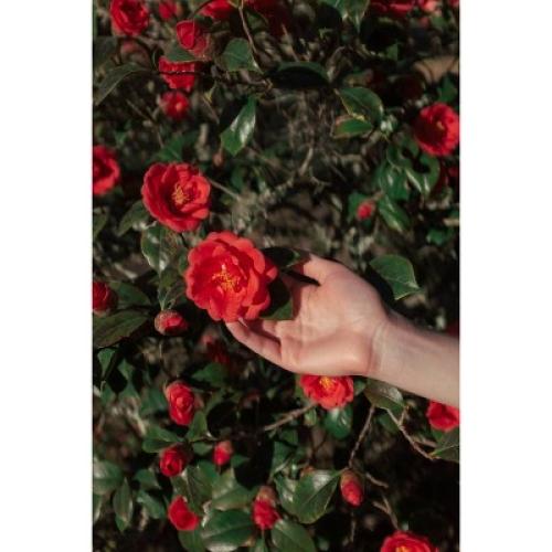 Polaroid Hi-Print Paper Gen 2