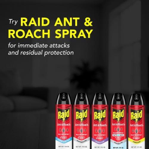 Raid Ant and Roach Killer Bug Spray Unscented - 2ct/20oz each 2 Pack