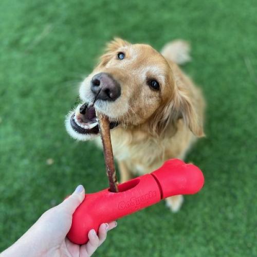 Red 8 GoSports Chew Champ Bully Stick Holder for Dogs - 8 Inch